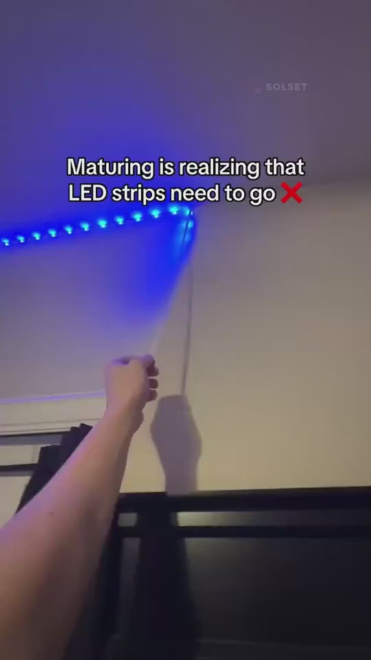 1.mp4